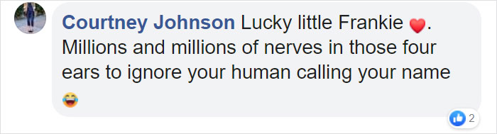 courtney johnson facebook comment