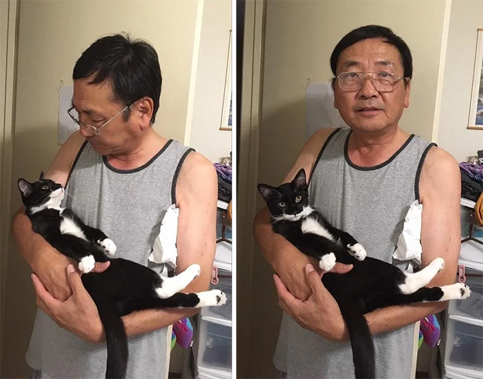 dads and cats inseparable