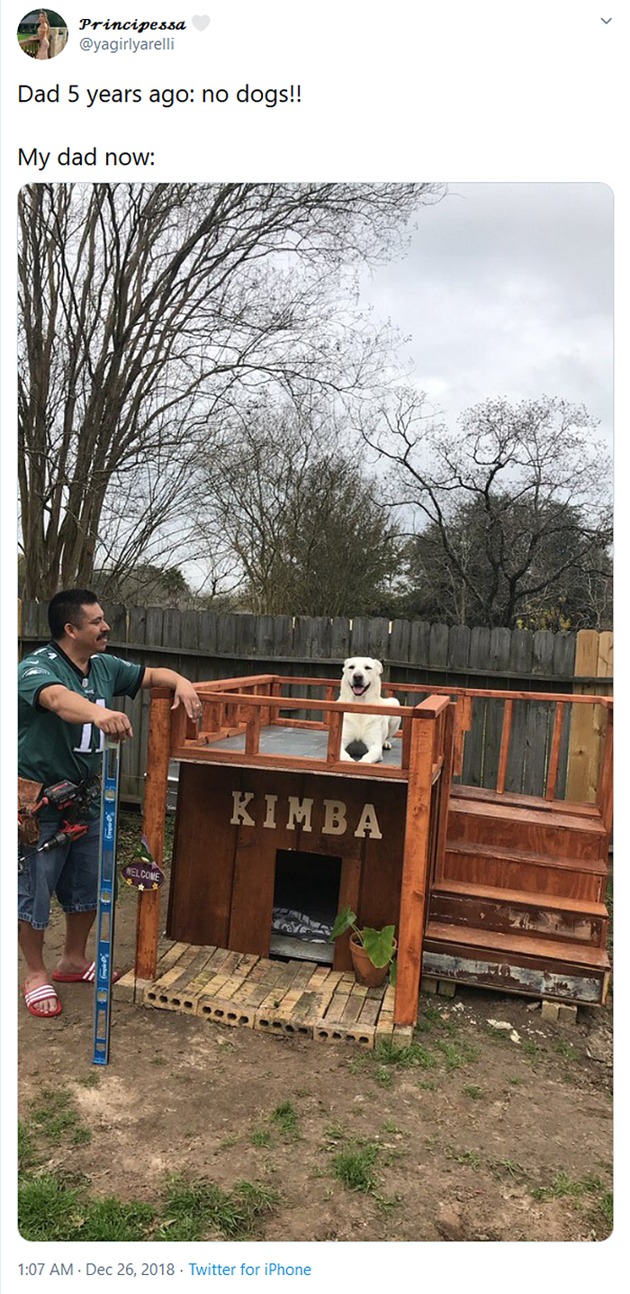 dads building dog houses