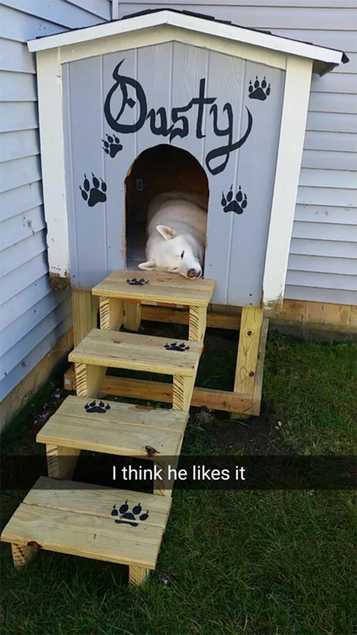 dads who hate dogs building a dog house