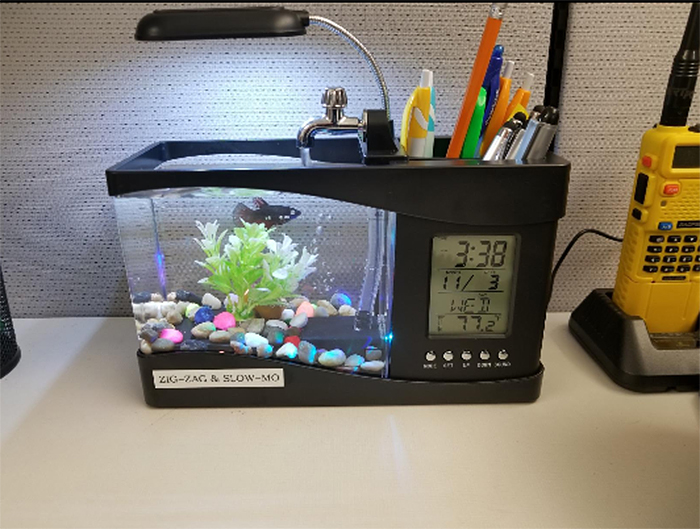 desktop fish tank lcd screen timer