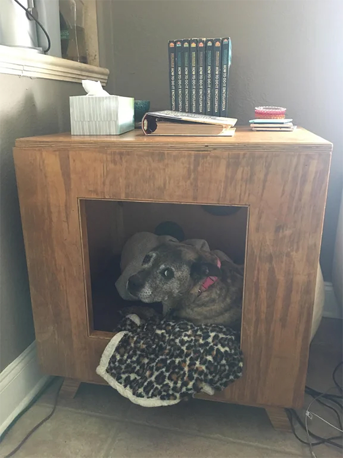 dog hater builds a hut for doggy