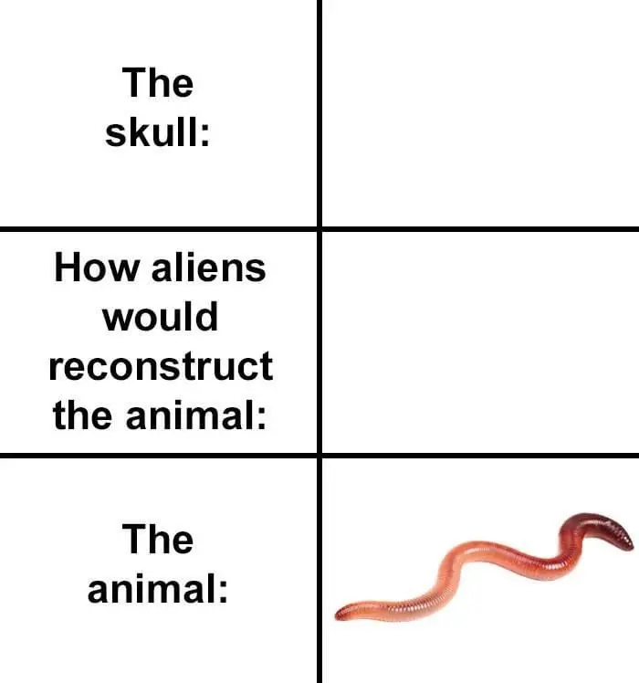 earthworm has no skull