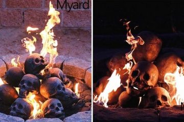 fireproof skulls