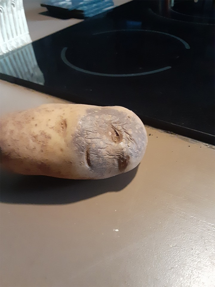 funny pareidolia baked potato