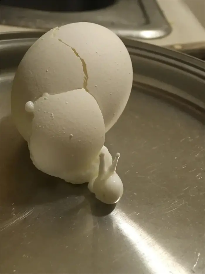funny pareidolia cracked egg looks like snail