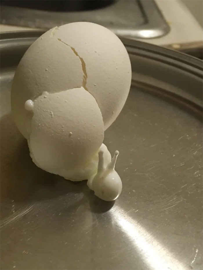 funny pareidolia cracked egg looks like snail