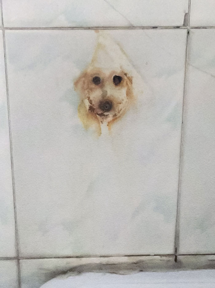 funny pareidolia dog tile rust