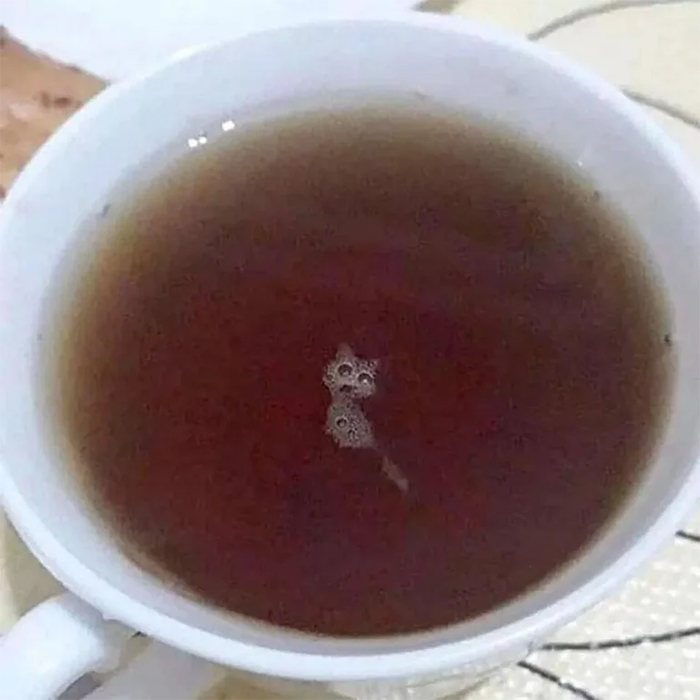 funny pareidolia tea foam forms a cat