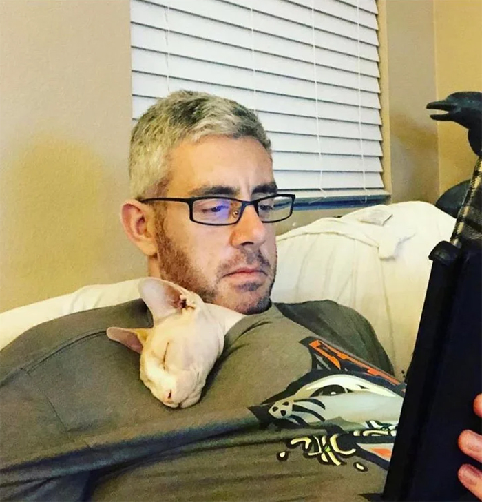 hairless cat hater falls in love with a sphynx