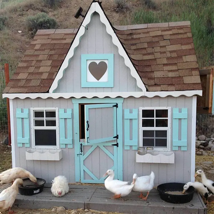 homey poultry house