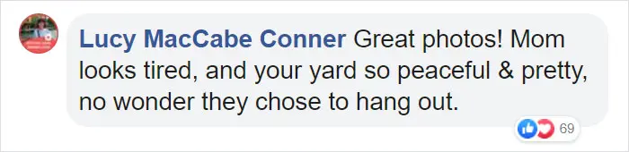 lucy maccabe conner facebook comment