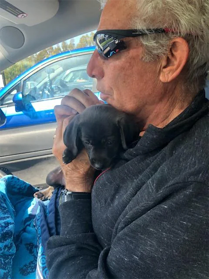 man gives up to a puppy at the shelter