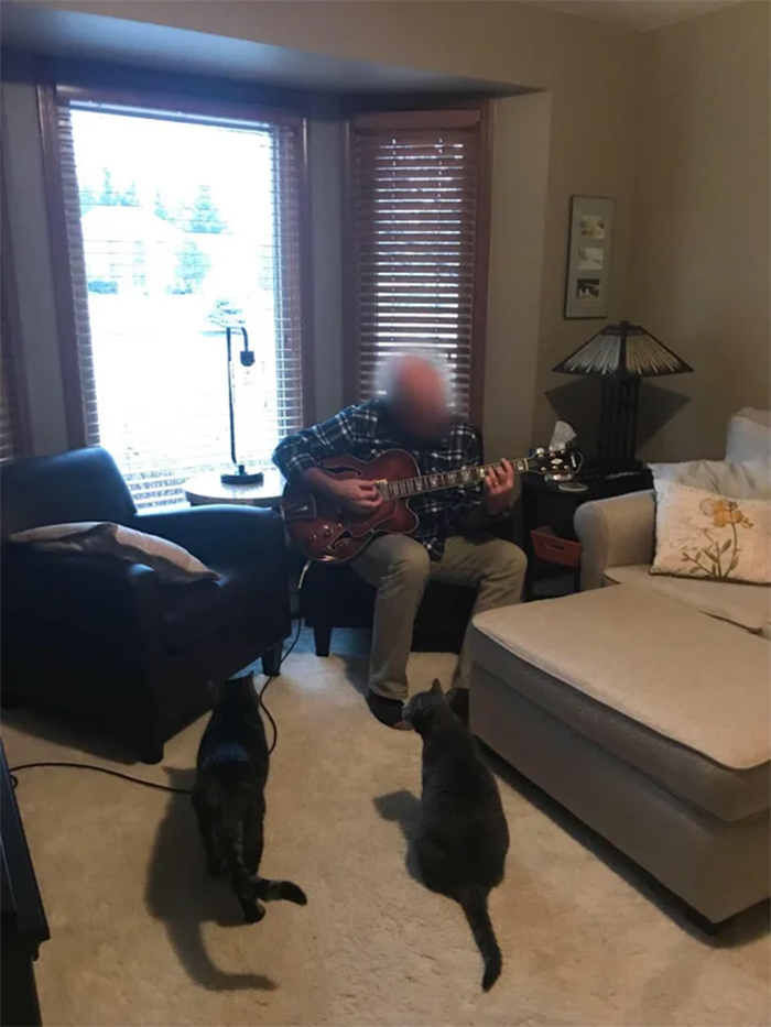 man plays guitar every night for his cats