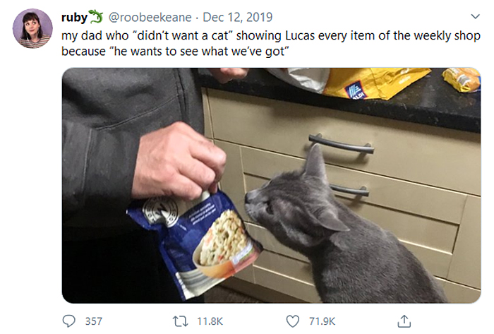 man showing every grocery item to cat
