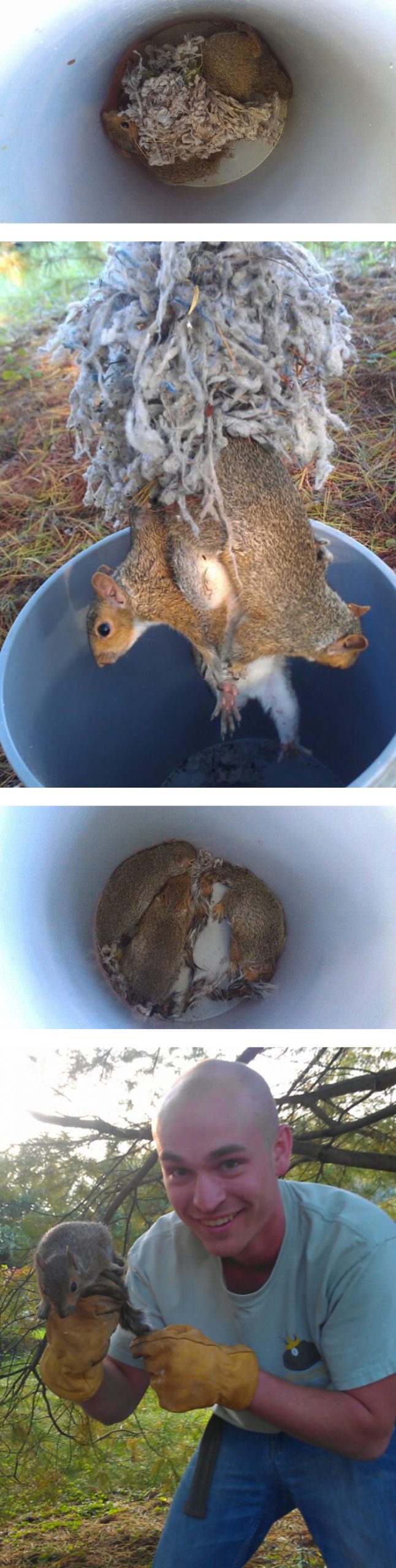 man untangling squirrels