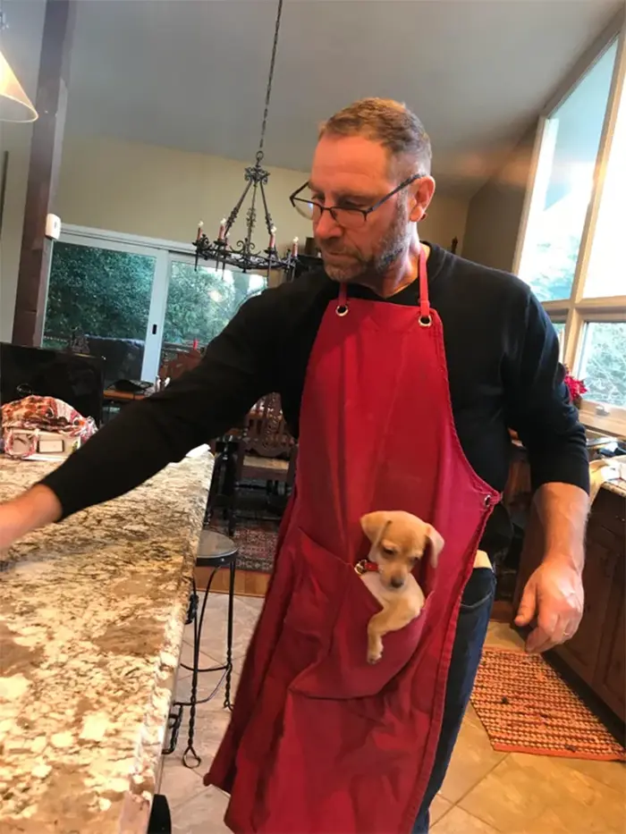 man wears apron with puppy holder