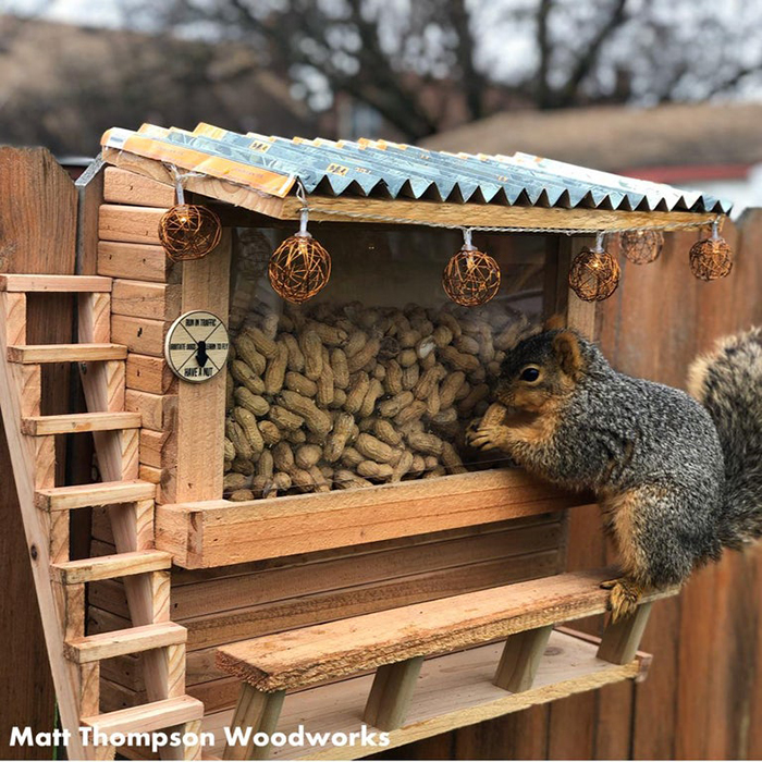 mini bar with peanuts for squirrels