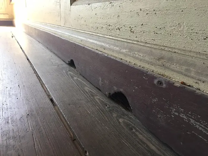 mouse holes found in a house built in 1741