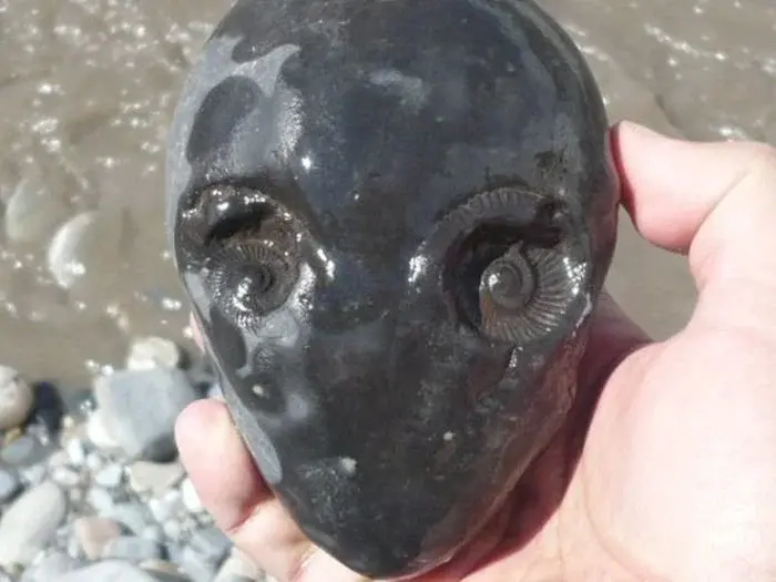 pebble looks like alien head