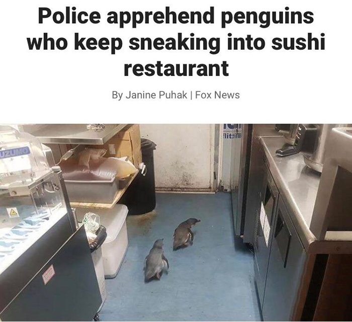 penguins sneaking into sushi restaurant