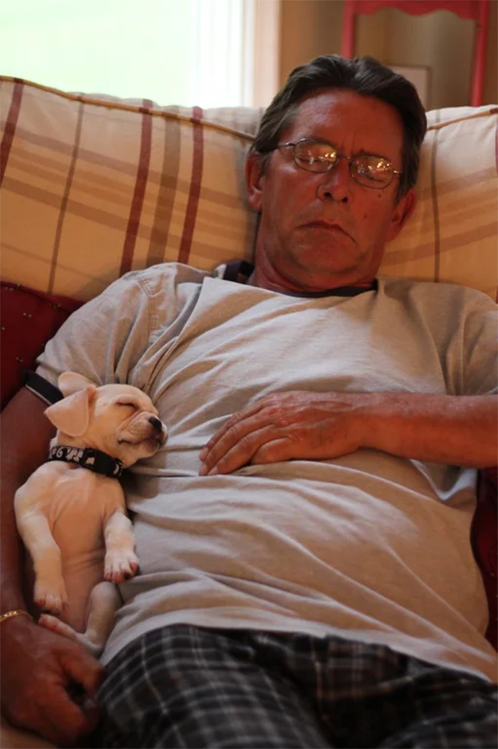 puppy helps man recover from stroke
