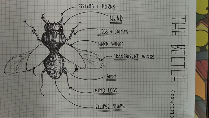 radhika's study sketch of the beetle