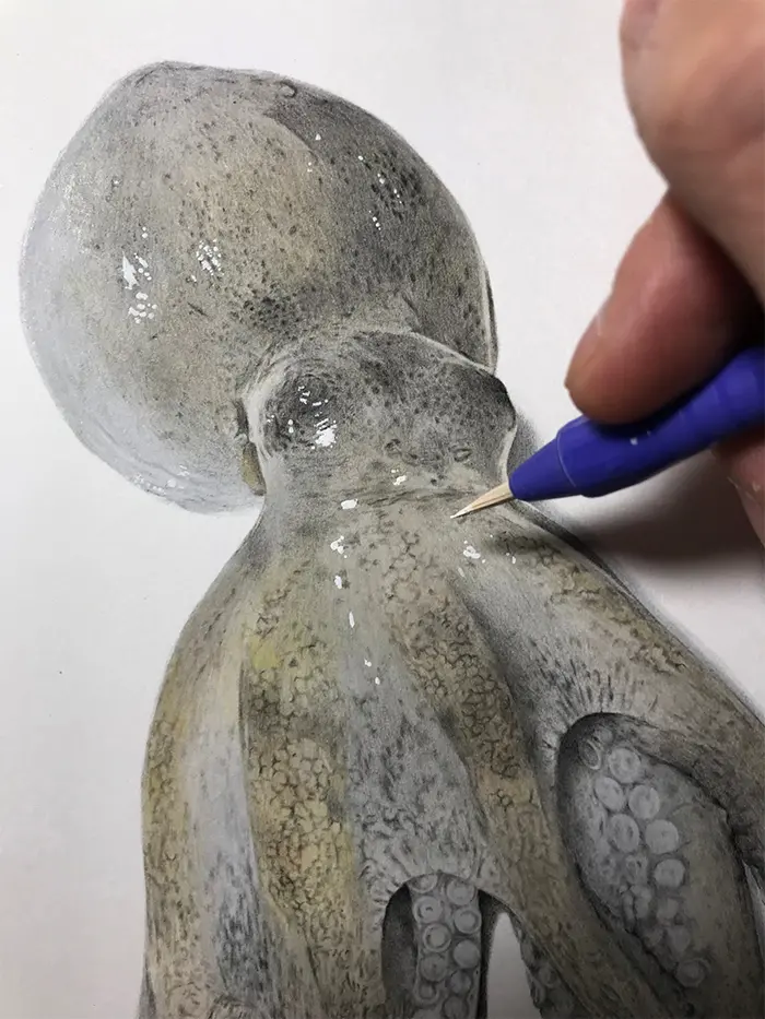 realisitc octopus drawng acrylic paint
