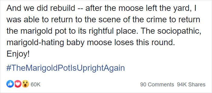 roland rydstrom facebook post moose family 4