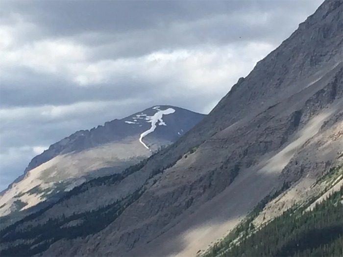 snow lizard on top of mountain