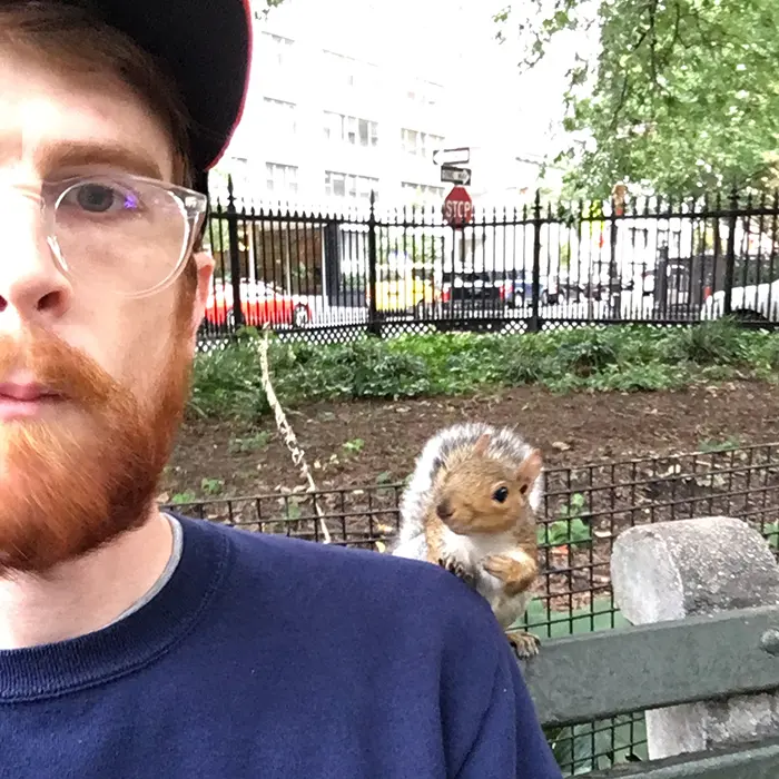 squirrel tapping a man's shoulder