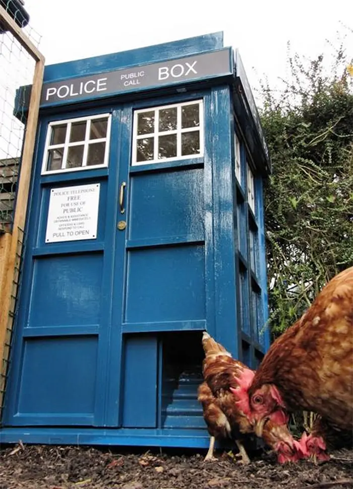 the doctor who inspired poultry house