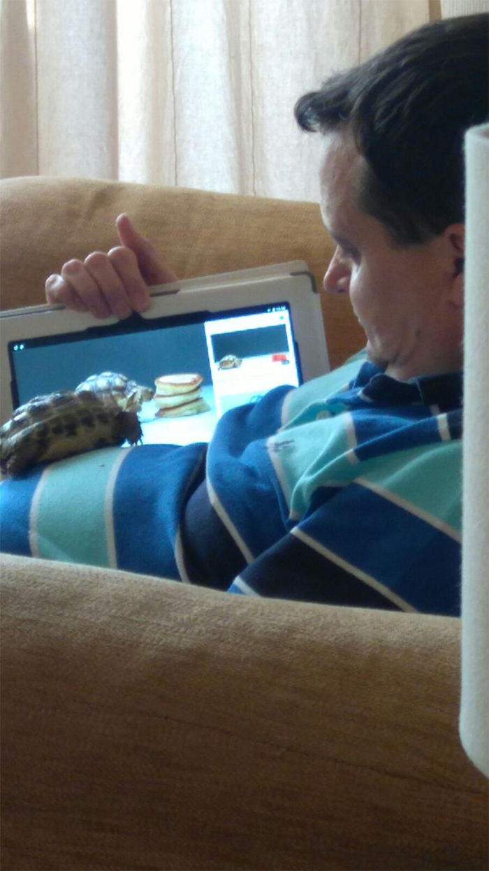 tortoise and owner watching turtle videos