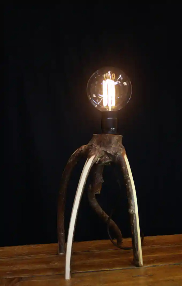 tree furniture scuttler table lamp