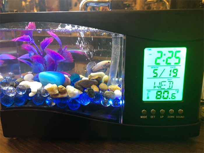 usb powered mini aquarium black with lcd screen
