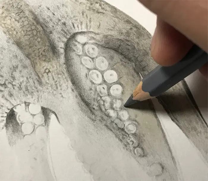 yuki tokuda octopus tentacle details