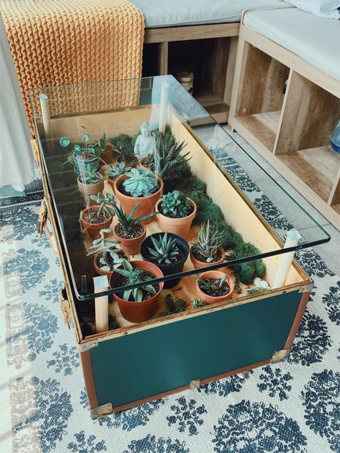 antique trunk turned into table planter