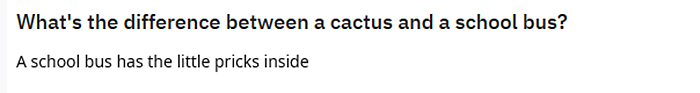 difference between a cactus and a school bus