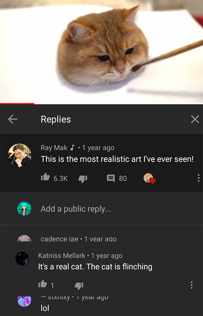 embarassing fail realistic cat art