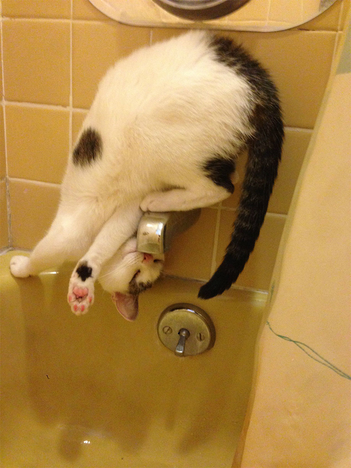 flexible kitty on faucet