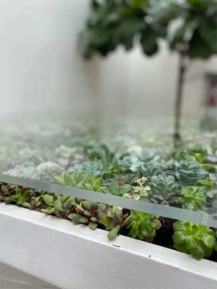 glasstop table planter