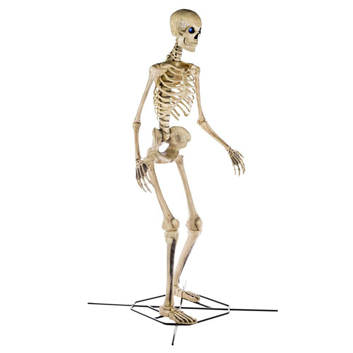 home depot home accents holiday 12-foot skeleton side