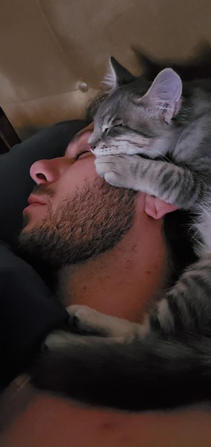 kitten sleeping on a man's face