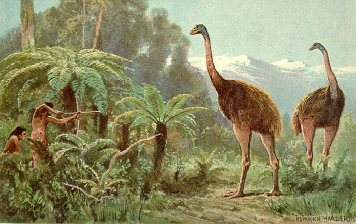 moa hunt illustration by heinrich harder