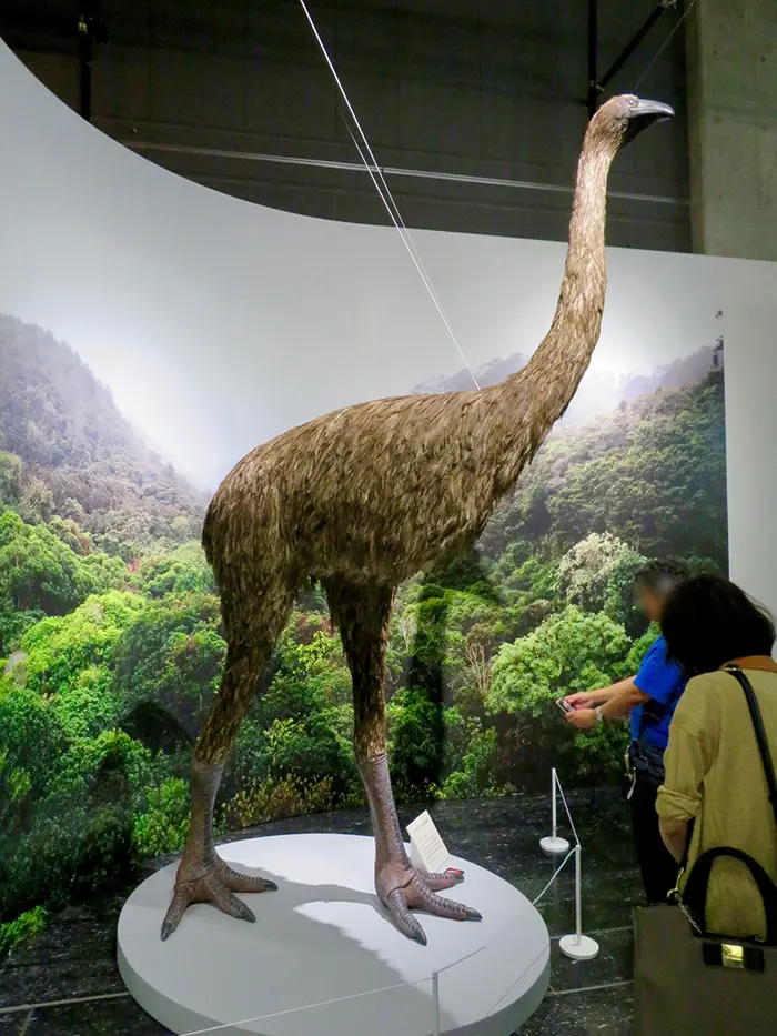 model of giant moa complete with bird claw