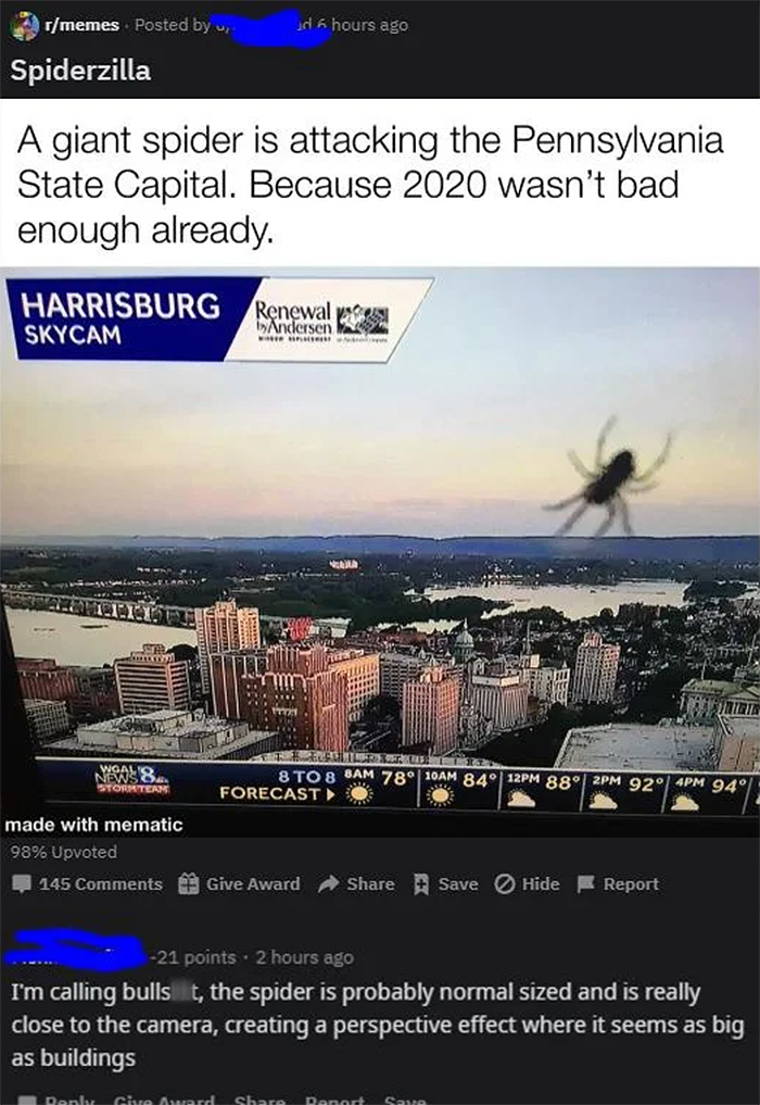 people who missed the joke fake spiderzilla