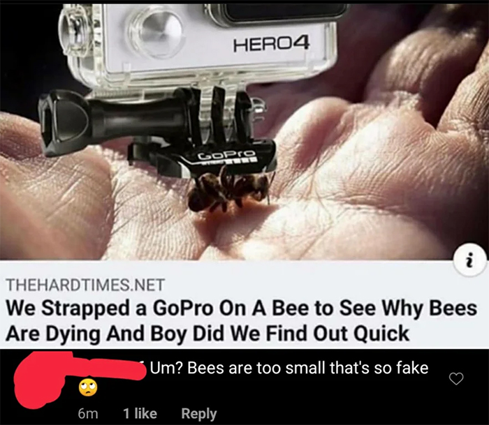 salty satire dying bees