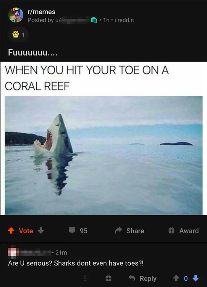 salty satire shark toes