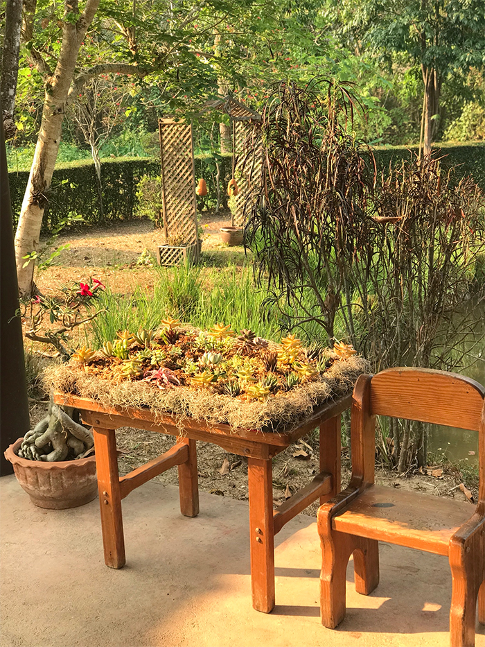 succulent gardens table