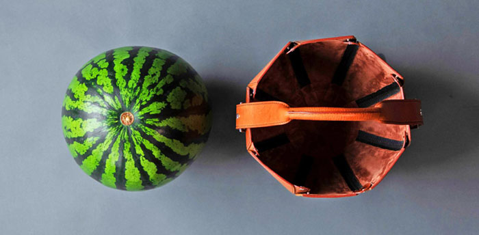 watermelon next to the watermelon bag